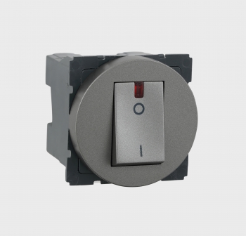 Arteor - Double pole switch with indicator 1-way Red indicator supplied 20 AX - 230 V~ 2 module(Magnesium)